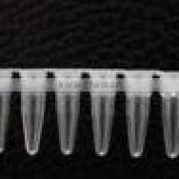 PCR Tube Stripe