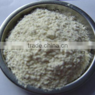 new crops white onion powder