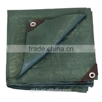 Outdoor PE Material Large Size Tent Tarp