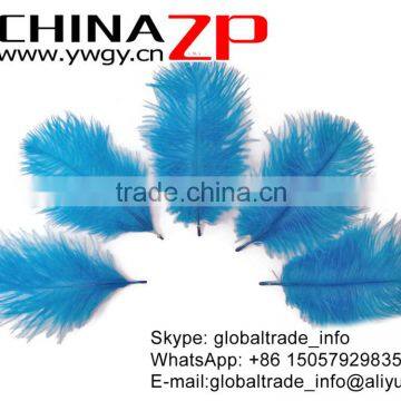 ZPDECOR No.1 Supplier in China Factory Exporting Wholesale From 6-8'' Dodger Blue Ostrich Feathers Plume photo-2