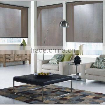 China roller blind with transparent shade film high tech quality raw material blinds