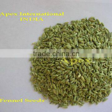 Apex Supplies Quality Foeniculum Vulgare Fennel / Foeniculum Vulgare / Fennel Seeds / Saunf photo-2