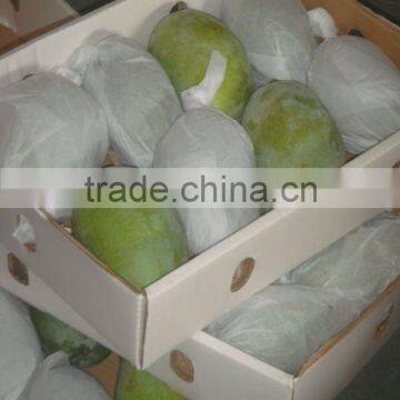 Chaunsa Mango