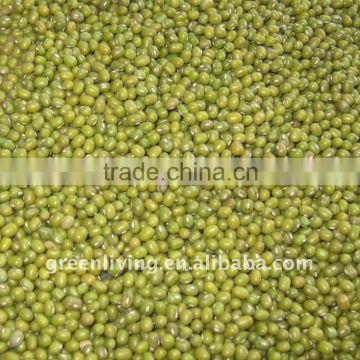 chinese green mung bean(dry)