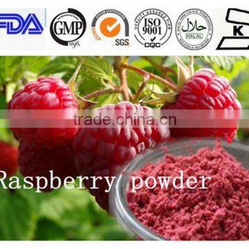 100% pure instant Red Raspberry juice powder/Raspberry powder