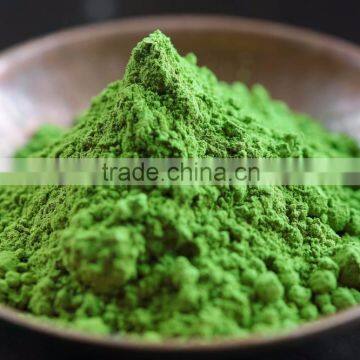 Traditional Tech Green Tea Powder Wholesale Price