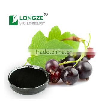 Liver-care and Anti-cancer Best-quality Black Currant Fruit Powder Extract/Black Currant Extract with anthocyanidins 25%