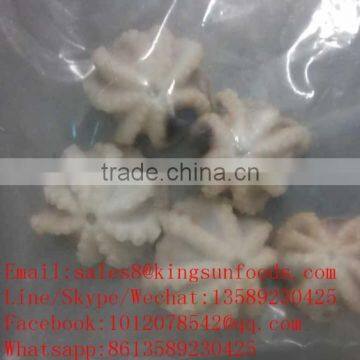 high quality Baby Octopus Octopus Ocellated whole round for sale