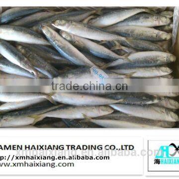 High Quality Frozen Round Scad Mackerel fish Supplier From China