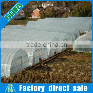 Easily Assembled large size 50x8m mushroom greenhouse used for sale