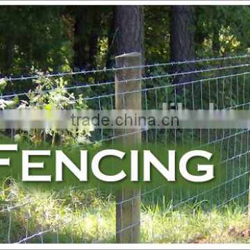 farm fence & field fence & cattle fence/hingelock farm fence/farm fence design