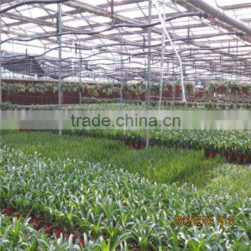 Good Quality Cheap Agricultural Green House photo-3