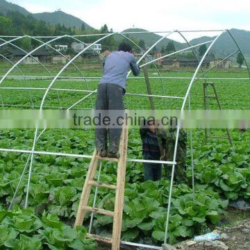 Multi Span PE Cover Film PE Greemhouse Film for Vegetable Greenhouse photo-3