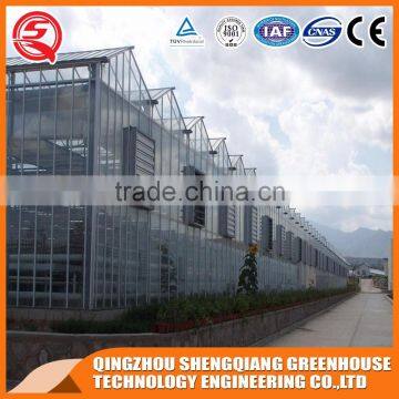 Agriculture Hollow Tempered Glass Greenhouse Hot Galvanized Steel Frame photo-3