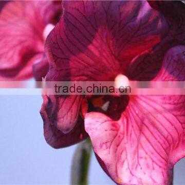 Home Garden Creepers Decoration 110cm Height Artificial Plum Colored Phalaenopsis Flowers Making EHDL02 0808 photo-3