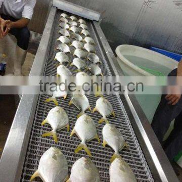 Silver Pomfret Fish photo-2