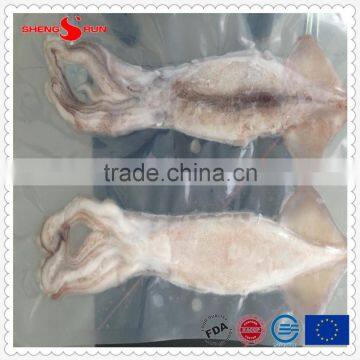 Frozen IQF Pacific Squid Tube u5 photo-5