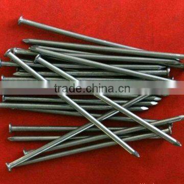 Polished Common Round Iron Wire Nails photo-2