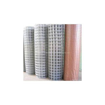 Hot Dipped Galvanized Welded Wire Mesh Rolls