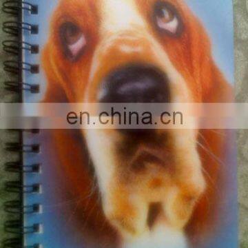 2018 3d Plastic Soft PP/PET Spiral Notebookk Cover photo-6