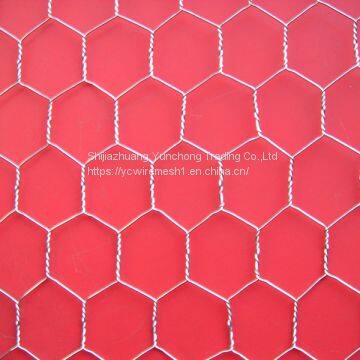 Hexagonal Wire Netting