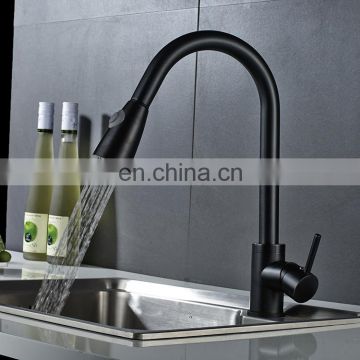 Pull out dual function flexible bathroom sink kitchen faucet,kitchen mixer