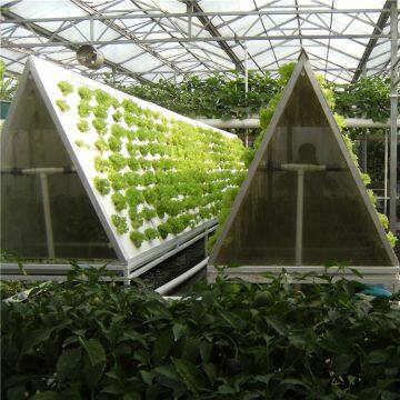 Glass greenhouse from hot galvanized steel for hydroponic vegetables