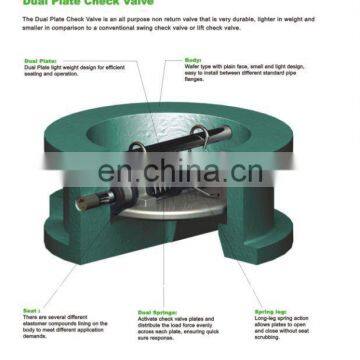 Dual DOOR Wafer Swing Check Valve