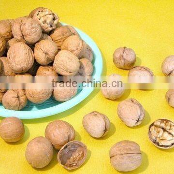 Walnut in shell or walnut kernels in bulk