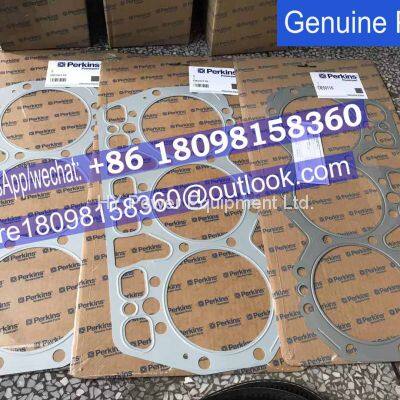 OE50116 Genuine Perkins Head gasket for 2006TWG original engine parts