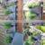 Private Label Top Quality Eco Friendly Vertical Garden Custom Bio Plant Growing Bag photo-3