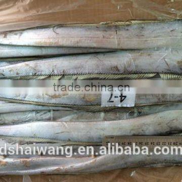 Size 200 - 350g / pcs frozen Seafood ribbonfish