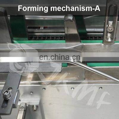 High-speed Fully Automatic Fennel Powder Pouch Box Carton Packing Machine Blister Cartoning Machine photo-5
