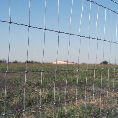 Fixed Knot Iron Wire Mesh Fence for Agriculture and Livestock Field Protection