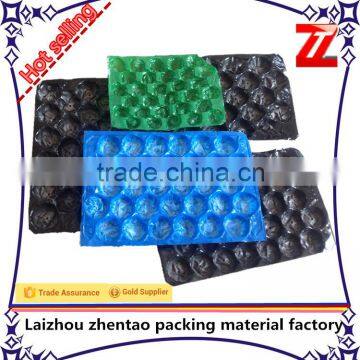 Plastic Material and PVC or PET Plastic Type PVC Fruit Packaging Tray
