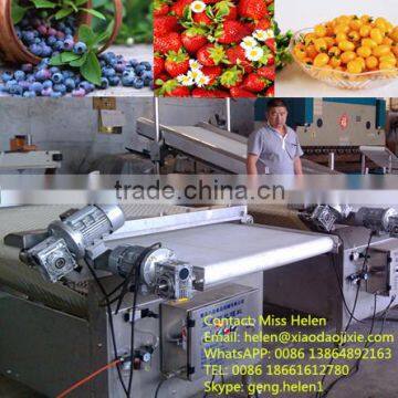 High efficiency blueberry sorting machine, blueberry processing line, blueberry grading and packing line