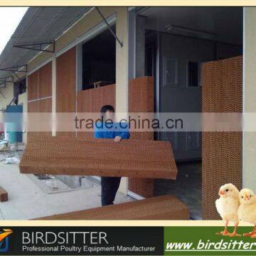 Hot sale modern automatic chicken poultry feeding equipment