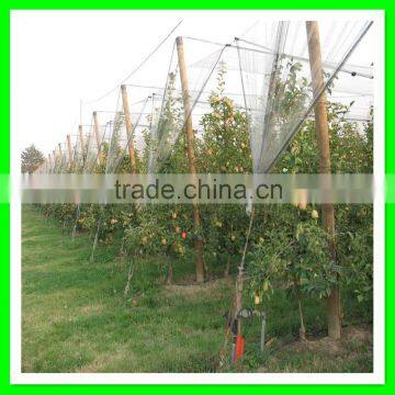 Apple Tree Used 100% Virgin HDPE Anti Hail Net With Low Price photo-3