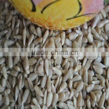 Bakery Sunflower Kernels no Shell Edible Directly photo-2
