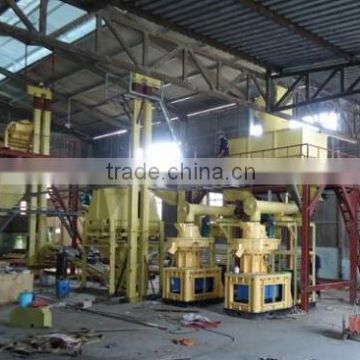 Reasonable Price Wood Pellet Line Wood Pellet Machinery