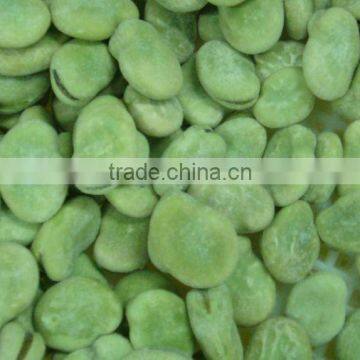 IQF frozen broad beans and iqf broad beans price