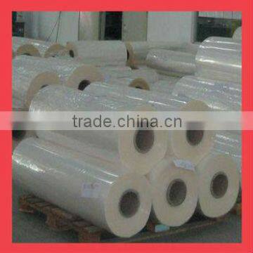 Hot sale transparent pet cpp film