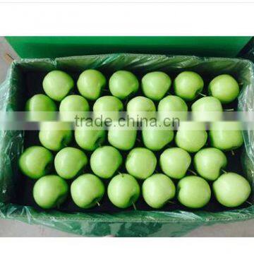 new fresh green apple