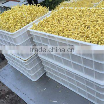 Automatic Bean Sprout Machine/Soybean Sprout Machine/Mung Bean Sprout Machine photo-6