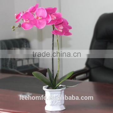 butterfly orchid home, office, hotel decorating cheap artificial plastic orchid flowers