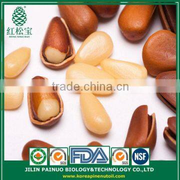 Wholesale Artificial Selection Fast Quick Food Open Pine Nuts in Shell