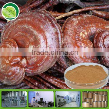 Factory supply natural ganoderma extract powder