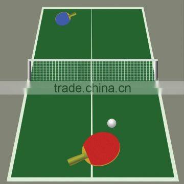 Best Selling Table for table Tennis Table with pong paddle