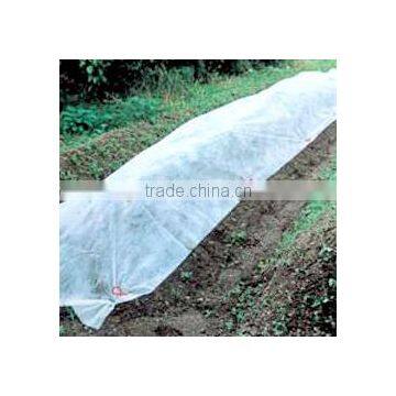 PP Non-Woven Fabric sheet