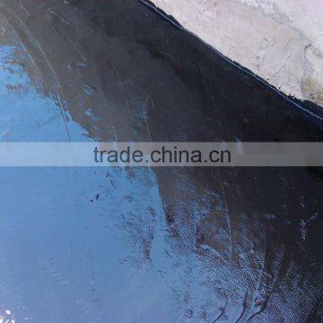 ISO Certificate High Quality Construction Material Waterproof Coating photo-4